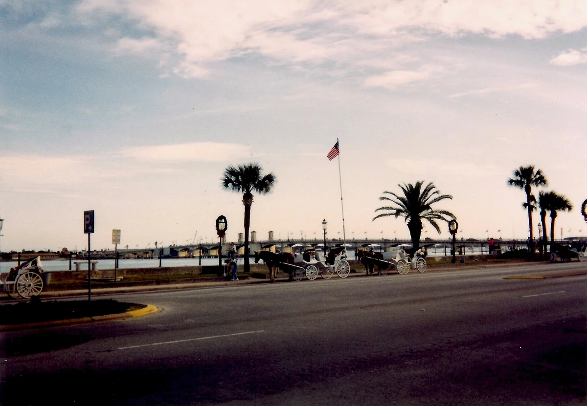 Horse-drawn carriages lined up on the bayfront by the Bridge of Lions, where walk-up St. Augustine carriage tours wait
